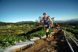 BIB: 
                            <button type="button" onclick="openModal(19116746)" class="btn btn-primary btn-sm float-right btn-popup" data-toggle="modal" data-target=".modal-high-quality">
                        <i class="fas fa-shopping-cart"></i> Add to Cart
                    </button>
                                            <button type="button" onclick="isThisMe(19116746, true)" class="btn btn-success btn-sm float-right btn-popup btn-isme hidden" data-toggle="tooltip" data-placement="bottom" title="นี่คือรูปของคุณใช่ไหม คลิกที่นี่เพื่อเอาเข้าอัลบั้ม">
                        <i class="fas fa-plus"></i> Add to album
                    </button>
                    <button type="button" onclick="isThisMe(19116746, false)" class="btn btn-warning btn-sm float-right btn-popup btn-isnotme hidden">
                        <i class="fas fa-ban"></i> Remove from album
                    </button>